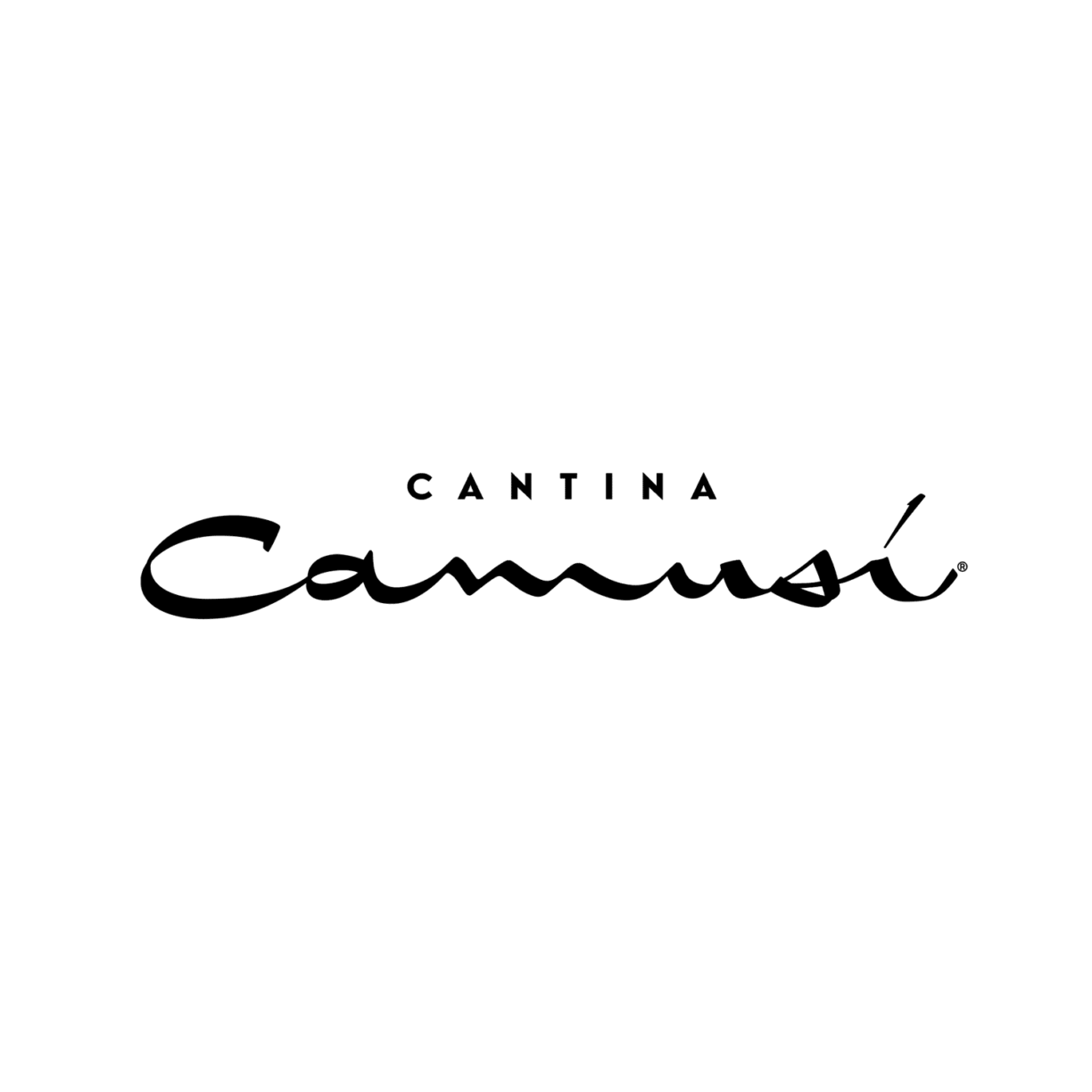 Camusi Logo